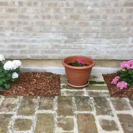 Villa La Casa Di Petali E Seta *